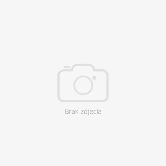 USZCZELKA BUTLI GAZOWEJ TURYSTYCZNEJ